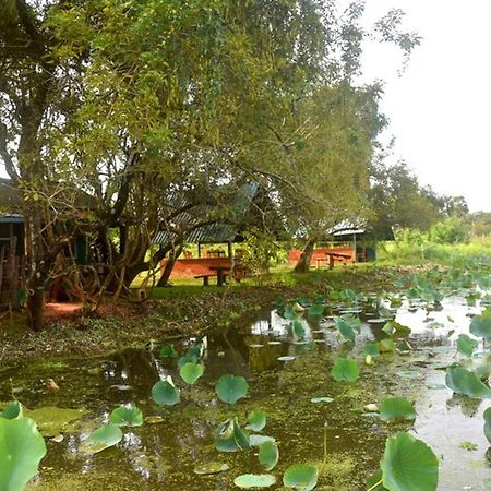 Meegahapokuna Resort Anuradhapura Eksteriør bilde