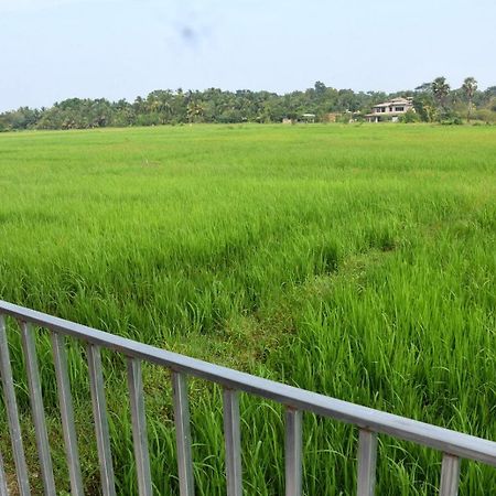 Meegahapokuna Resort Anuradhapura Eksteriør bilde