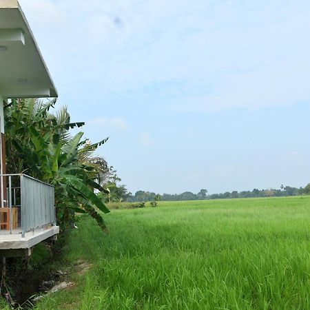Meegahapokuna Resort Anuradhapura Eksteriør bilde