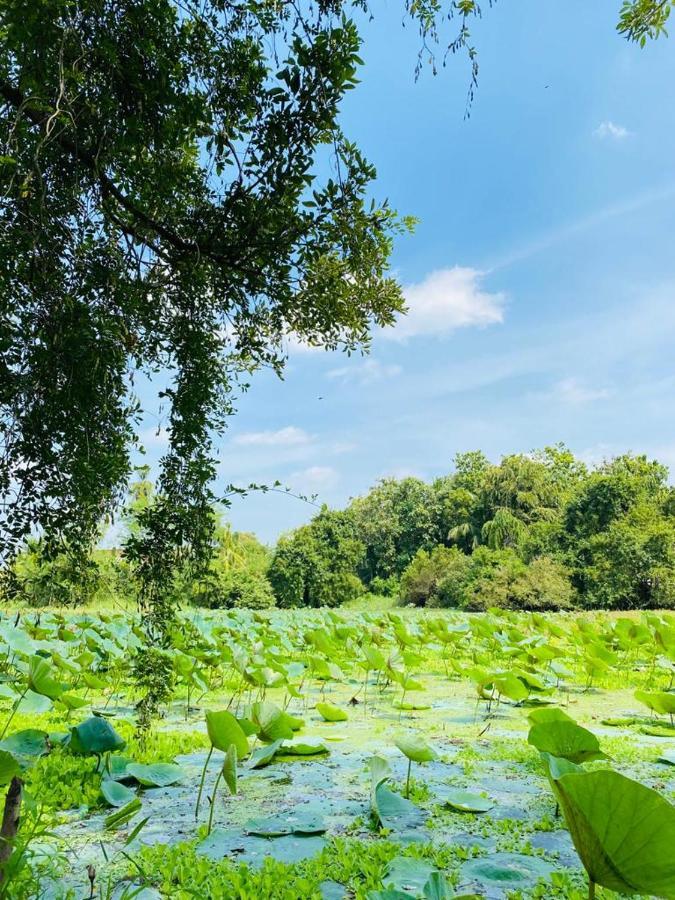 Meegahapokuna Resort Anuradhapura Eksteriør bilde