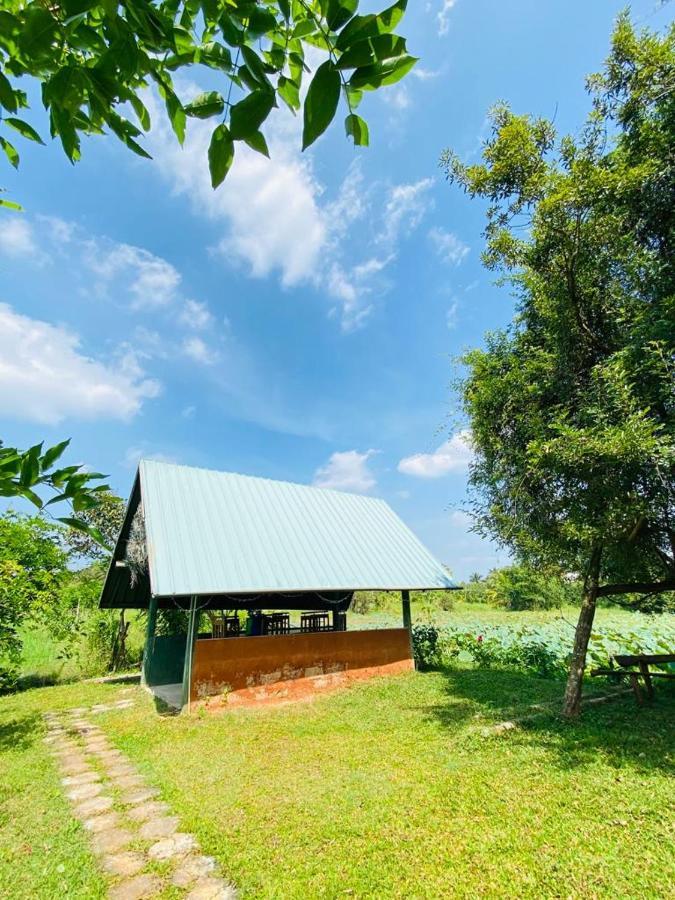 Meegahapokuna Resort Anuradhapura Eksteriør bilde