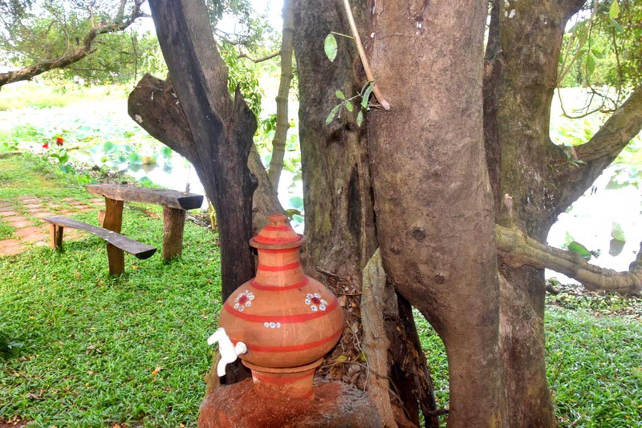 Meegahapokuna Resort Anuradhapura Eksteriør bilde