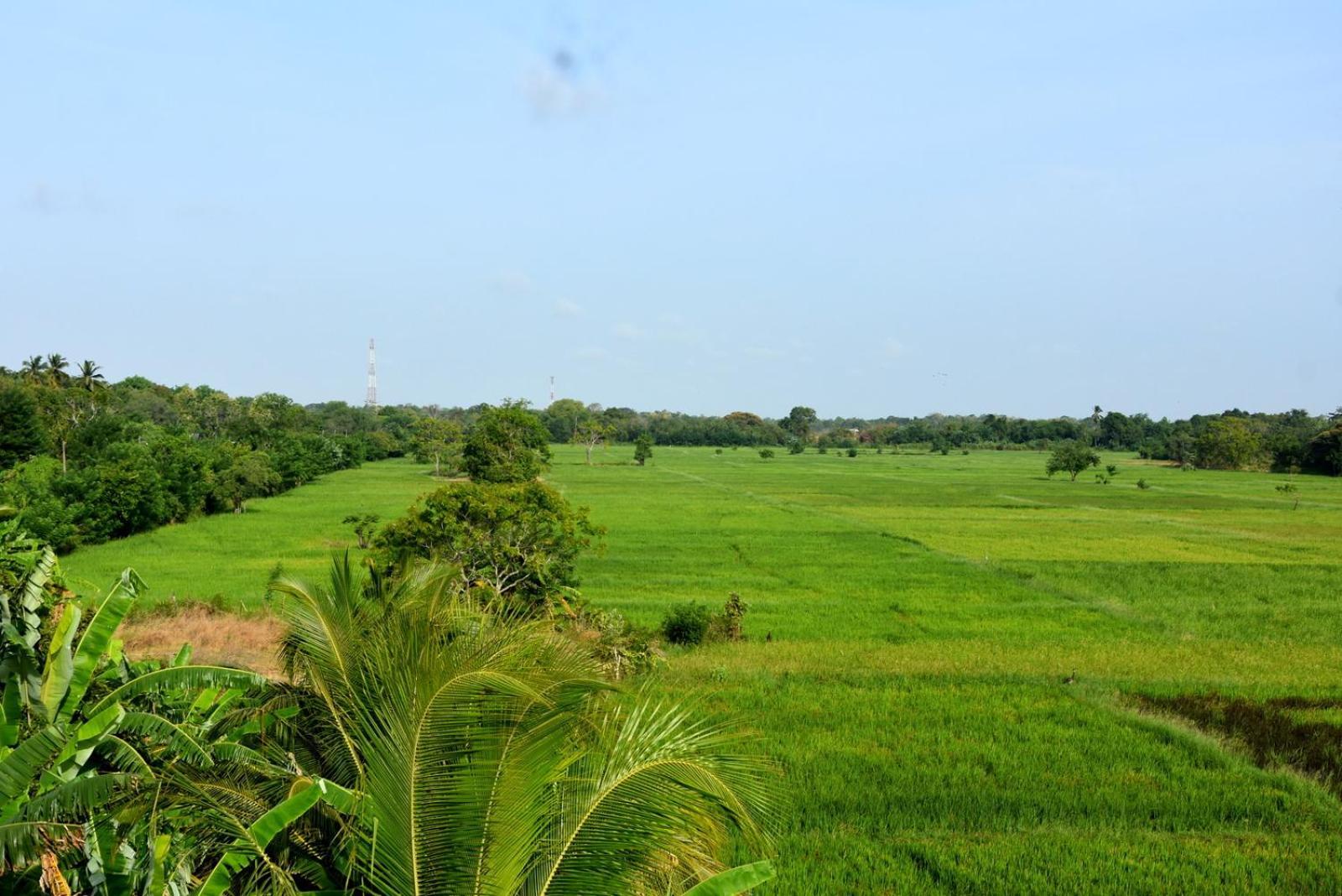 Meegahapokuna Resort Anuradhapura Eksteriør bilde
