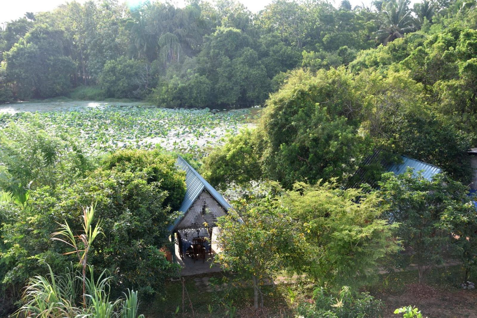 Meegahapokuna Resort Anuradhapura Eksteriør bilde