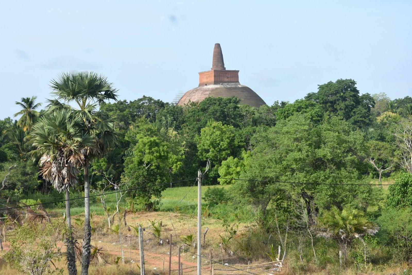 Meegahapokuna Resort Anuradhapura Eksteriør bilde