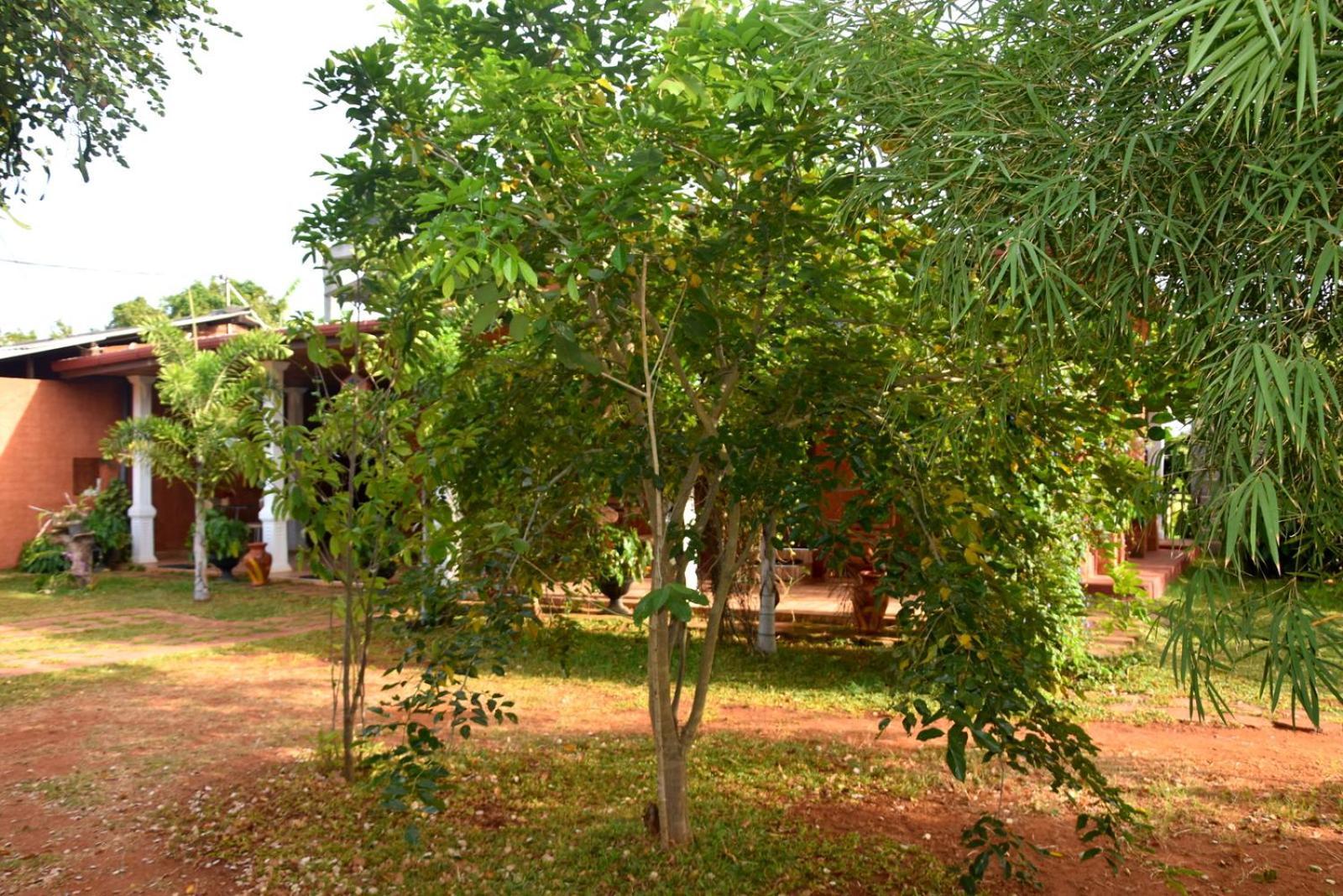 Meegahapokuna Resort Anuradhapura Eksteriør bilde