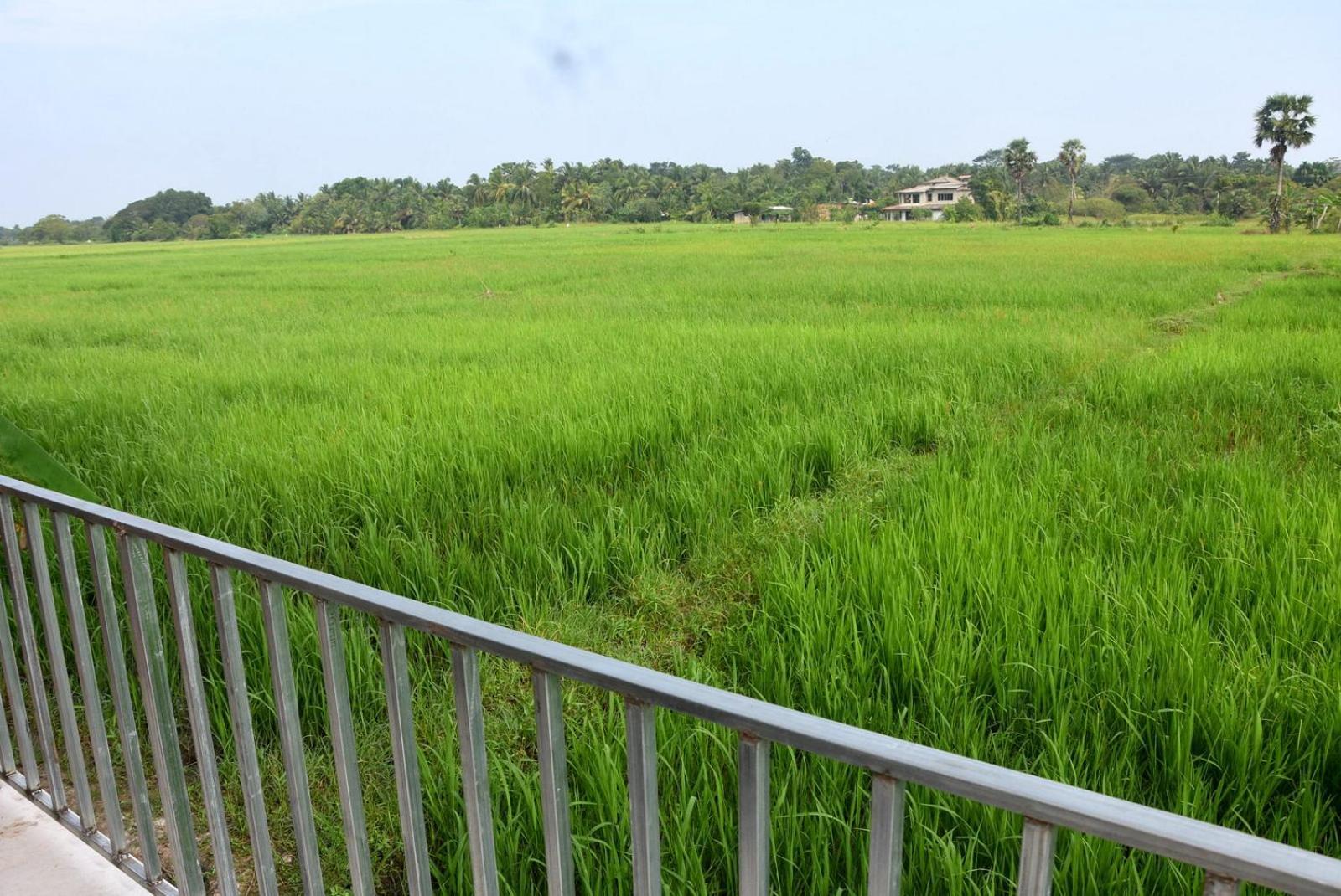 Meegahapokuna Resort Anuradhapura Eksteriør bilde