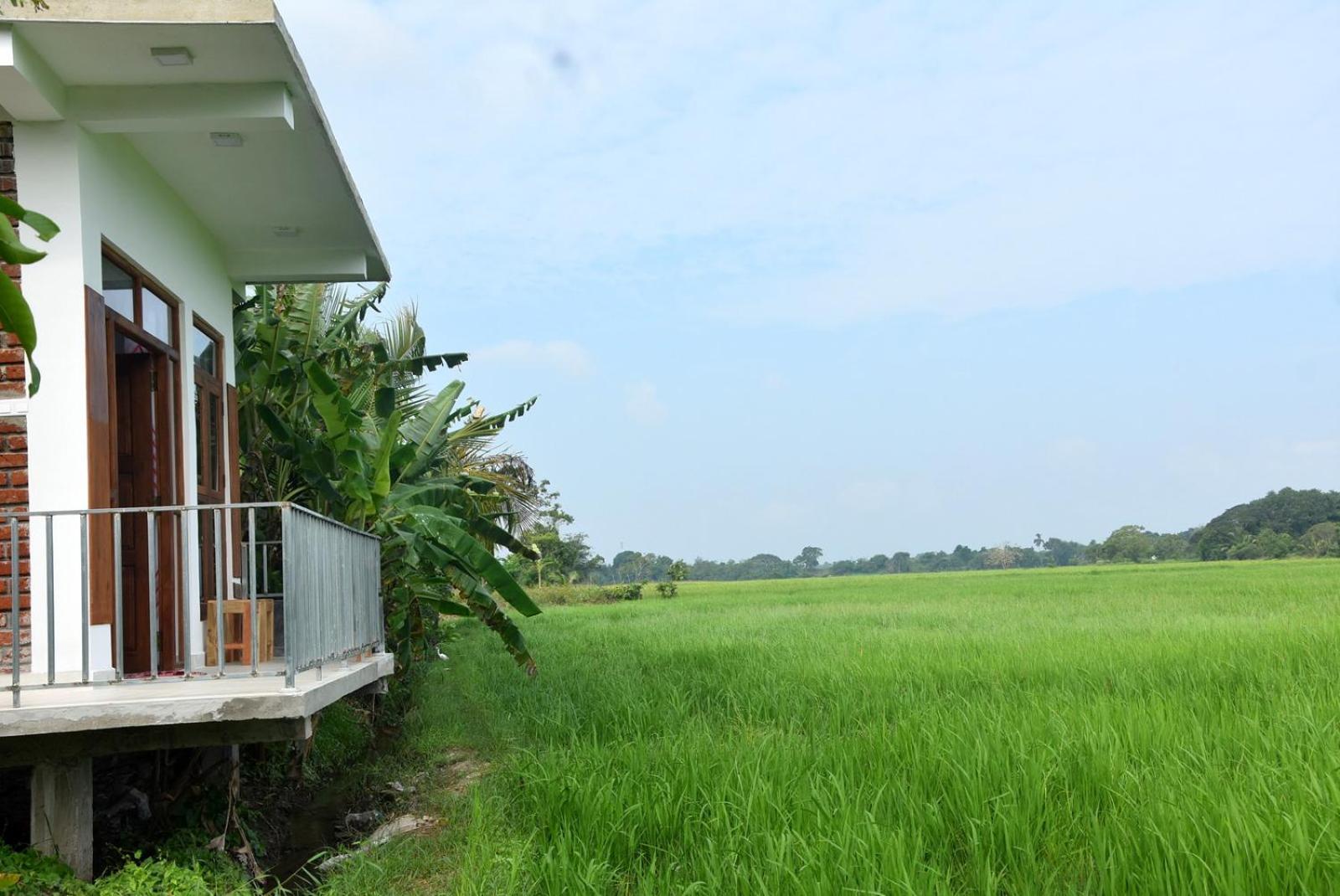 Meegahapokuna Resort Anuradhapura Eksteriør bilde